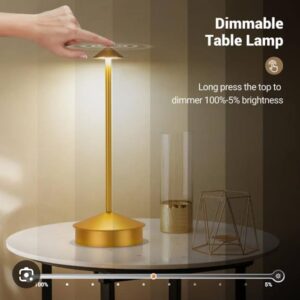 Night/Study lamp