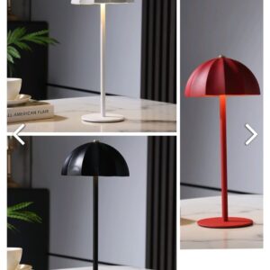 Night/Study Lamp